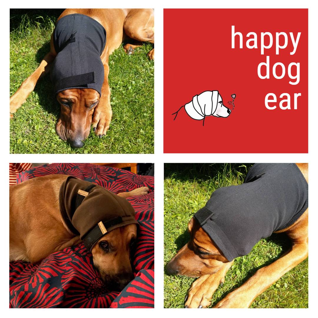 Alternative zu Kopfverbänden beim Hund