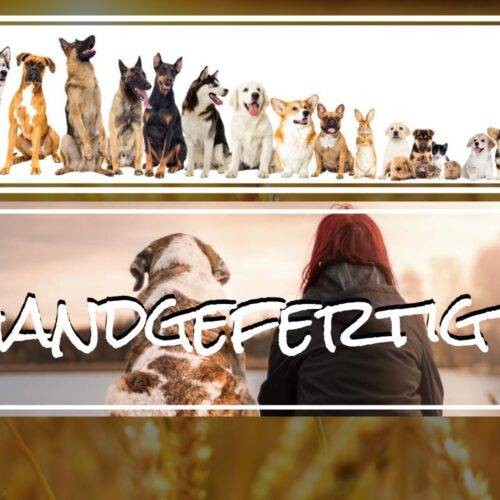 Maßanfertigungen für Hunde