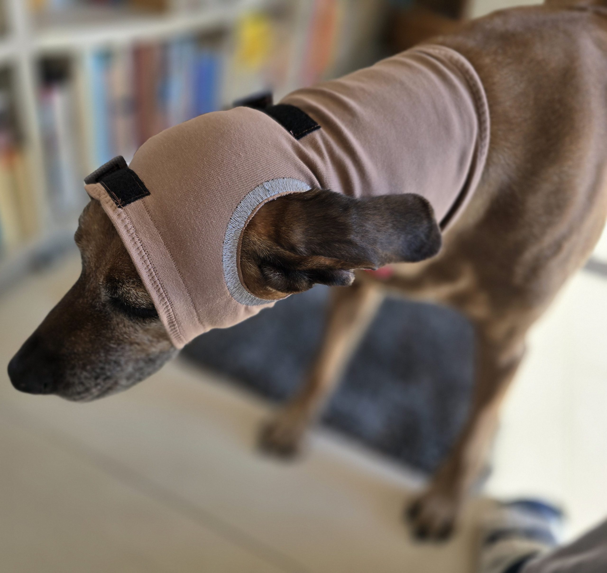 happy dog ear mit Ohraussparung links